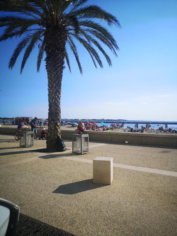 Apartment Magnifique T2 Les Pieds Dans Le Sable *